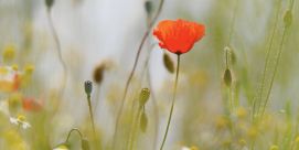 Schulstart nach den Ferien!