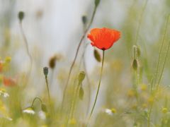 Schulstart nach den Ferien!