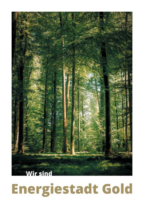 Broschure Energiestadt