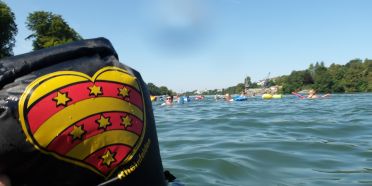 Rheinschwimmen findet statt