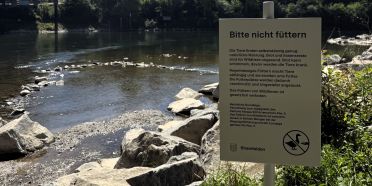Wildtiere bitte nicht füttern