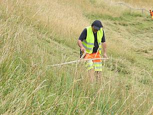 Werkhofmitarbeiter mäht das Bord mit Sense