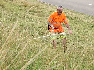 Werkhofmitarbeiter mäht das Bord