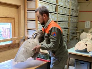 Kulturgüterschutz bei der Arbeit