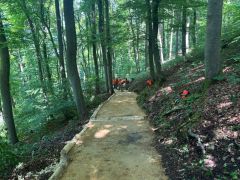 Wanderweg erneuerung